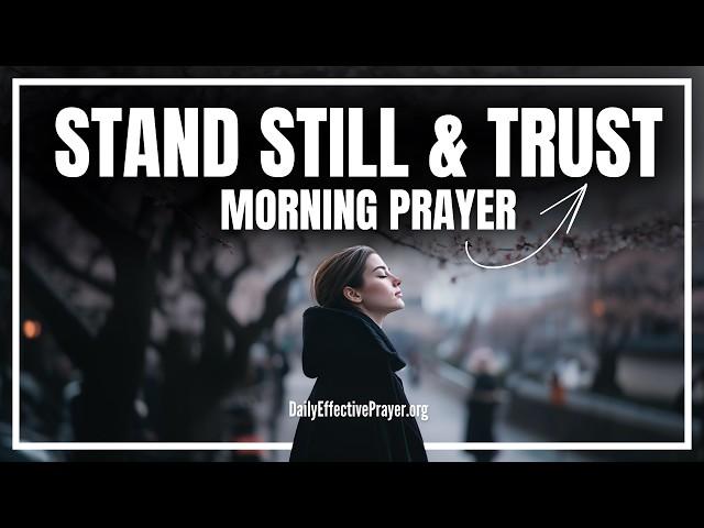 A New Level of Peace Is Yours—JUST TRUST GOD | Blessed Morning Prayer To Start Your Day With God