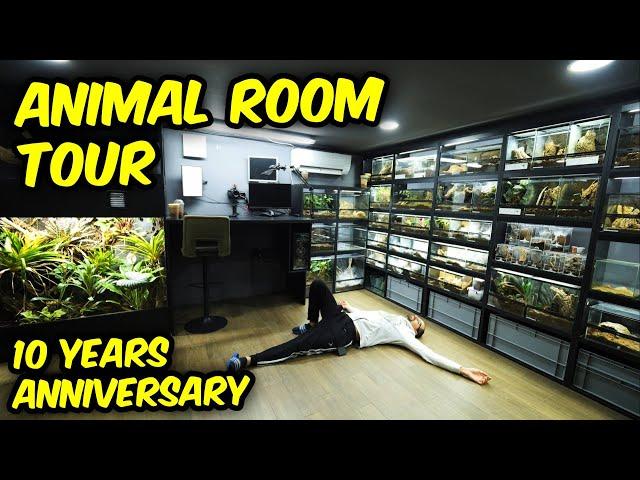 FULL COLLECTION TOUR - Animal Room - 10 years of THE DARK DEN