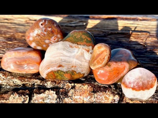 Great Agates on a Lake Superior Beach