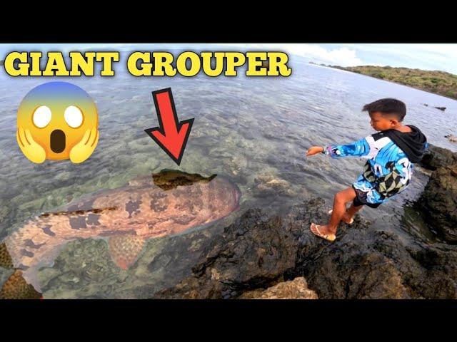 NAHULI NAREN ANG MALA-HALIMAW NA GIANT GROUPER NA ITO 