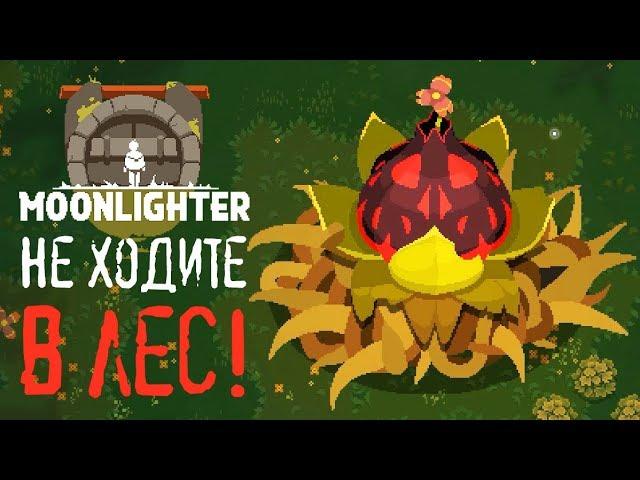 Moonlighter - Прохождение игры #6 | Не ходите в лес!
