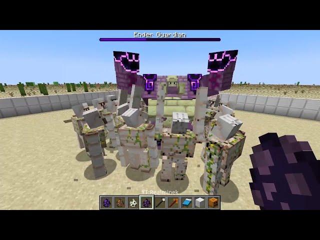 Ender Guardian VS 30 Iron Golem (1v30)