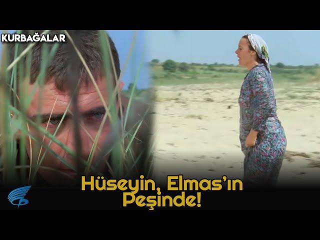 Kurbağalar  | Hüseyin, Elmas'ın Peşinde!