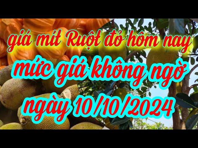 giá mít hôm nay ngày 10/10/2024