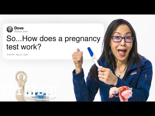 Fertility Expert Answers Questions From Twitter | Tech Support | WIRED