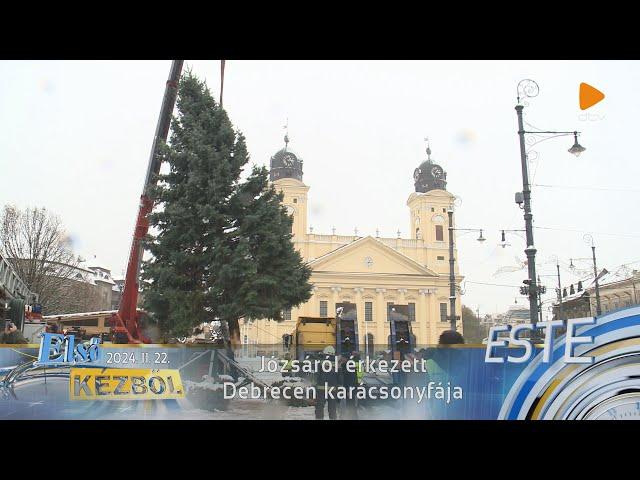 Józsáról érkezett Debrecen karácsonyfája