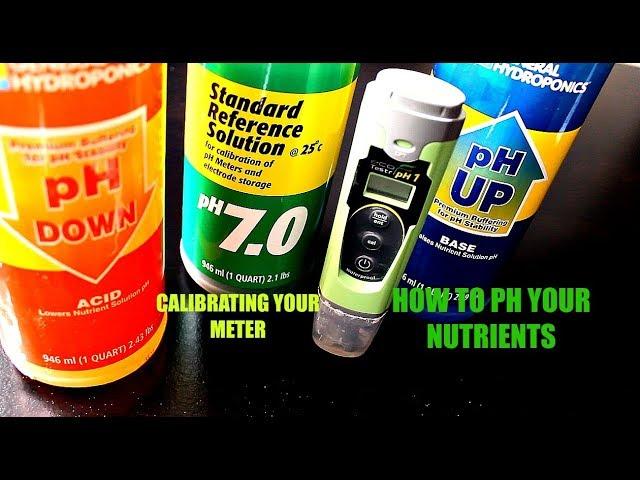 How To PH Your Water and Nutrients for Marijuana