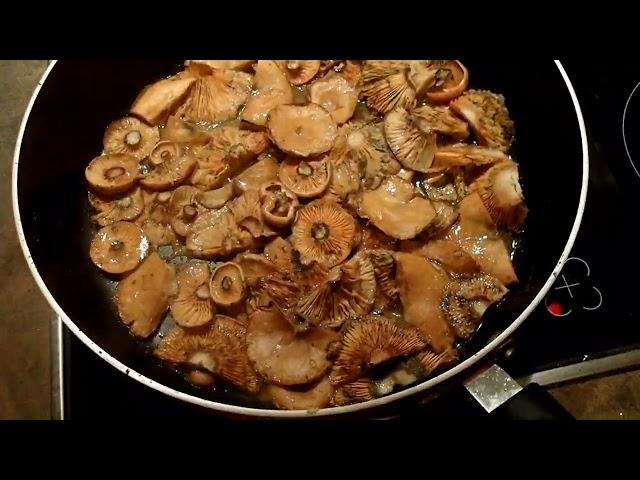 Saffron milk-cap mushroom recipe