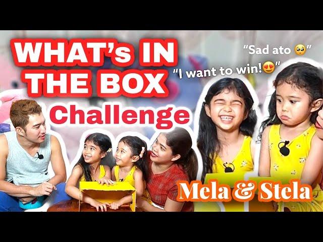 What’s In The Box Challenge with @likemelaandstela9694 | Melason Family Vlog