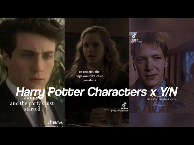 Harry Potter Characters x Y/N TikTok POV