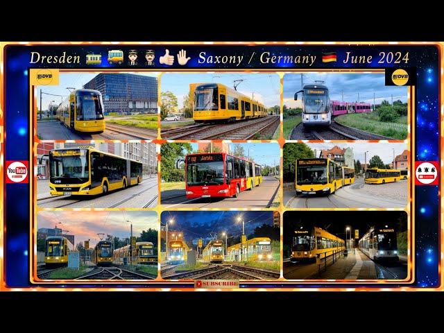 Dresden Bus and Tram impressions / June 2024 / Short Video Version /Bus- u. Straßenbahn-Impressionen