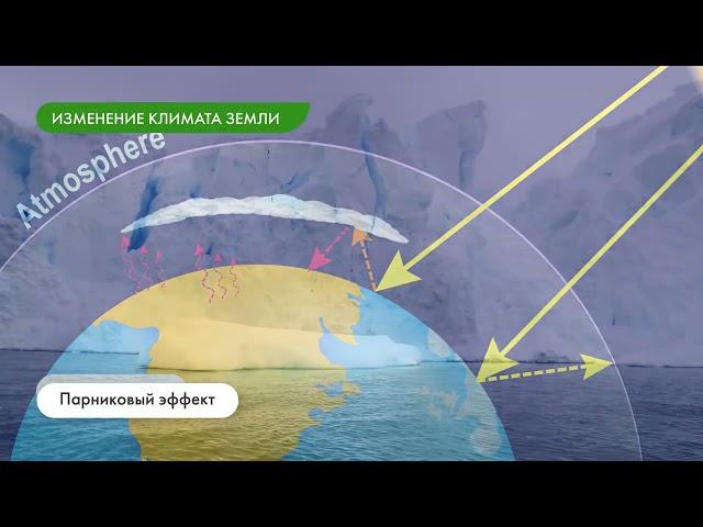 Глобальные экологические проблемы