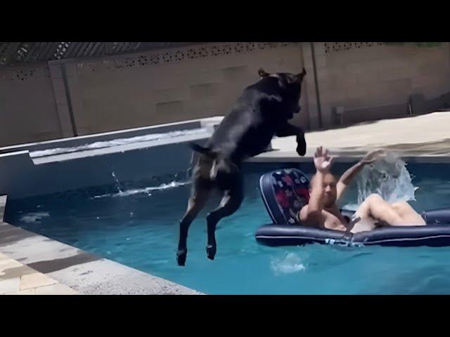 THE FUNNIEST DOG FAILS EVER | DOG FAIL COMPILATION | WIDOFAILS