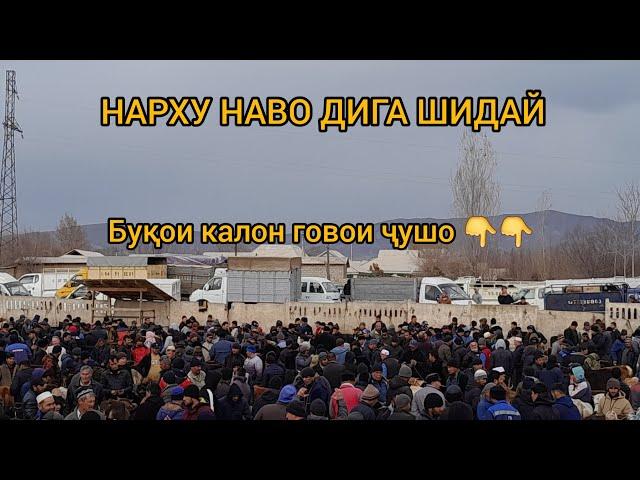 Паншанбе брзори н Ёвон РАФТИ САВДО буқои калон моли майда говои ҷушо асп #молбозор 25 январ 2024