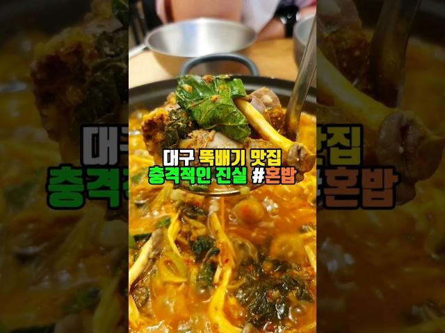 저렴하지만 푸짐하게 먹는 대구 순대전골 국밥맛집 혼밥 추천 든든한뚝배기집