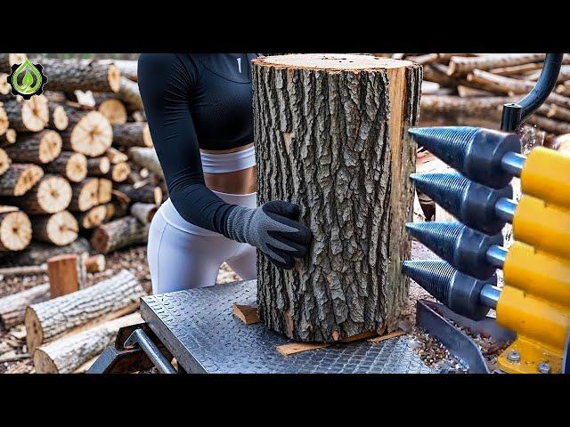 Fastest Automatic Firewood Processing Machine | Dangerous Big Chainsaw Cutting Tree machines #8