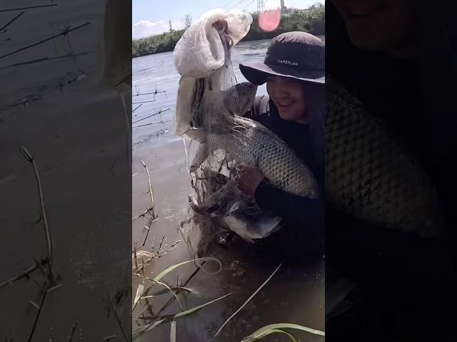 Di Inaakalang Mahuli Namin Ito ,Monster Fish #fishing #castnetfishing #traditionalfishing