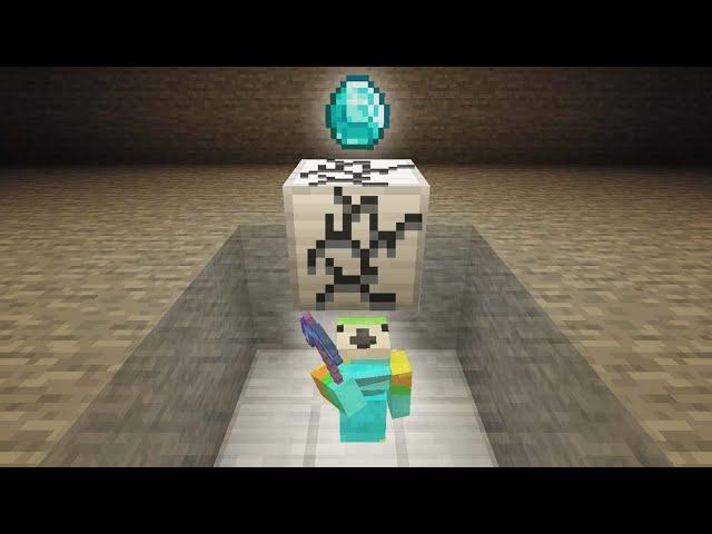 I Stole Minecraft's Rarest Diamond