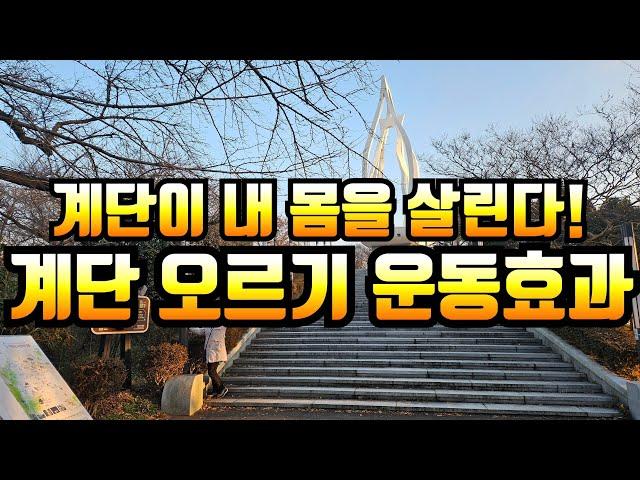 (생로병사) 계단 오르기 운동의 놀라운 효과  #계단오르기 #근력운동 #하체운동 https://www.youtube.com/watch?v=27zSEATjckA