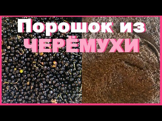 Черемуховая мука (порошок). Как приготовить молотую черемуху в домашних условиях