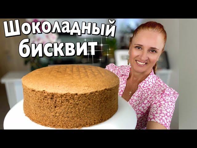 Chocolate Sponge Cake Recipe