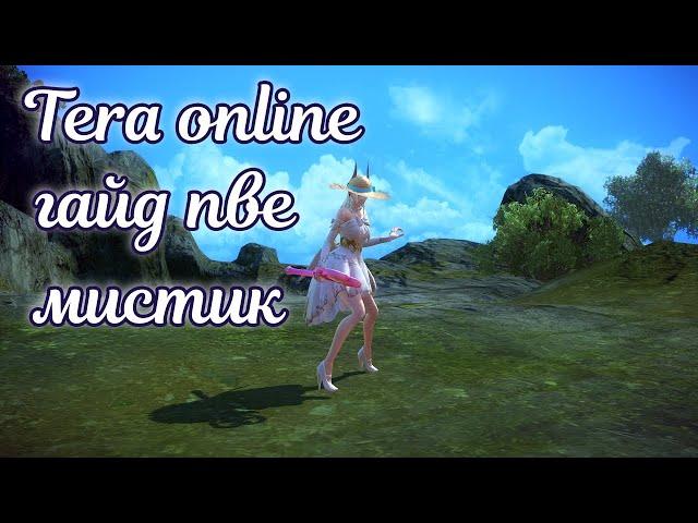  Tera online гайд мистик пве  актуально 2024 для Menma и Asura