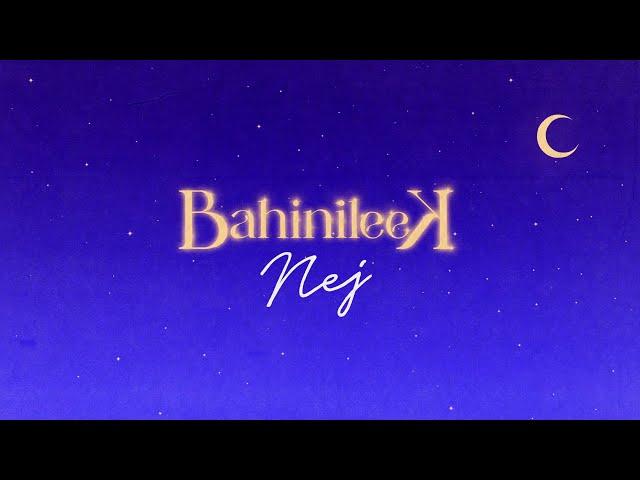 Nej' - Bahinileek (Lyrics Video)