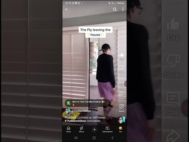 POV: The fly that goes in and out of your house be like..#funny #relatable #themanniishow.com/series