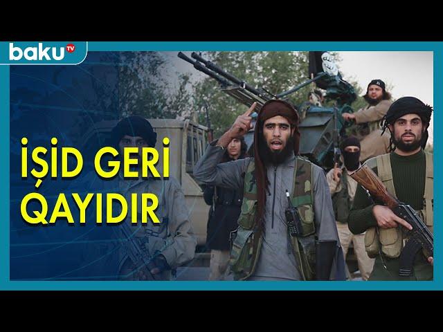 İslam dövləti terror aktlarını intensivləşdirib - BAKU TV