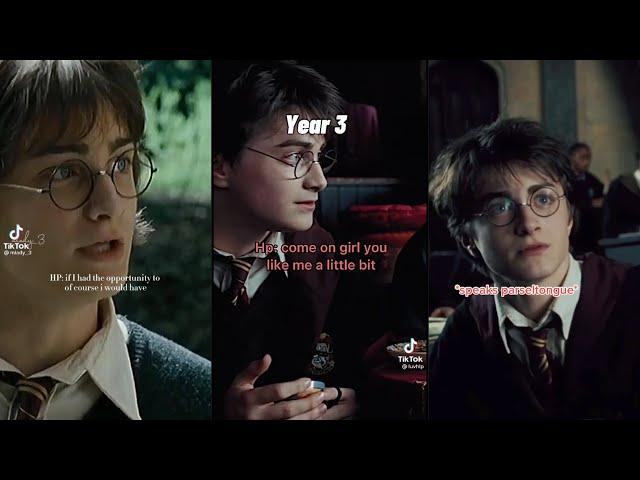 Harry Potter himself x Y/N TikTok POV