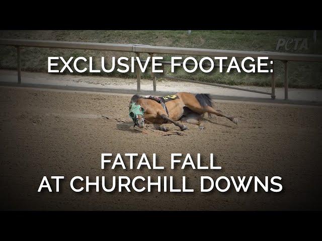 Exclusive Footage: Fatal Fall At Churchill Downs