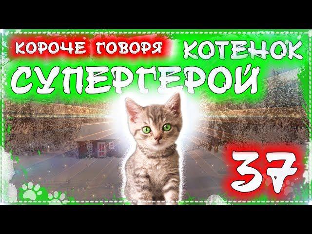 КОРОЧЕ ГОВОРЯ, КОТЕНОК СУПЕР ГЕРОЙ 37 [От первого лица] Я бездомный котенок Лайки