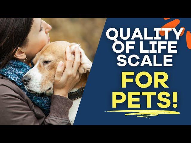 Quality of Life Scale for Pets