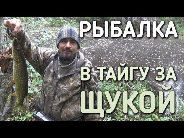 В ТАЙГУ ЗА ЩУКОЙ НА РЫБАЛКУ