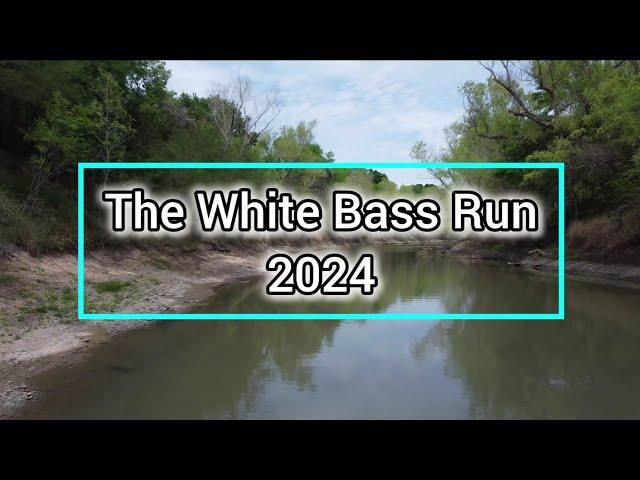 Fishing For the Infomis White Bass #whitebassfishing