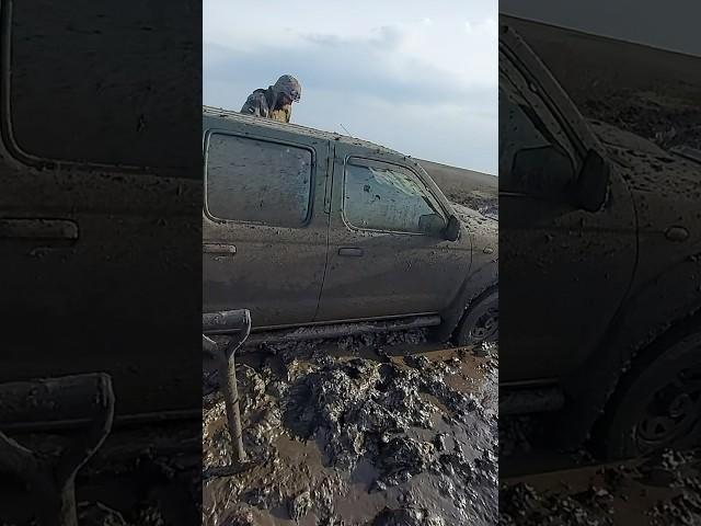 А можно не в болото