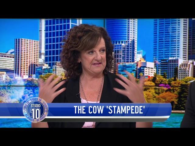 Former Police Detective's Hilarious Stories From Time On The Force | Studio 10