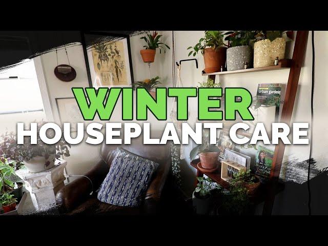 13 Winter Houseplant Care Tips ️