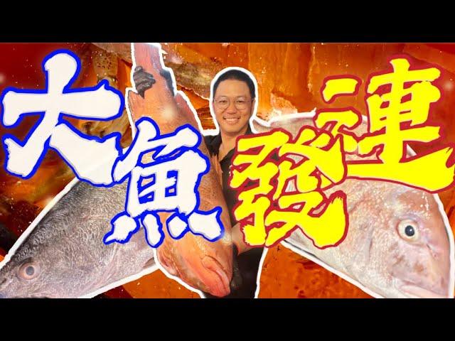 狂釣100斤！高級魚の專攻。活餌透抽釣大魚-血賺3萬塊。鮸魚、迦納、紅槽、紅甘釣起來