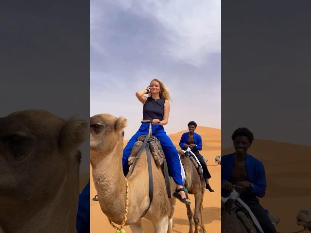 Camel or bike?? #morocco #desert #travel @jaymondy.