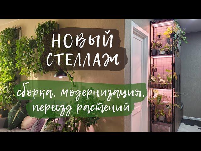 Новый стеллаж | Сборка, модернизация, переезд растений