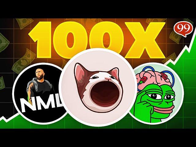 BEST 3 MEME COINS TO Buy Now to 100X Your Money?!? (FLIP $1k to $100k?!)