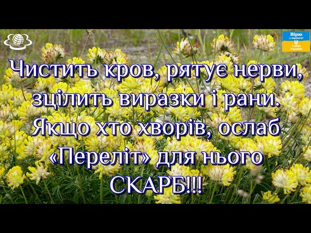 Чистить кров, рятує нерви, зцілить виразки. Якщо хто хворів, ослаб «Переліт» для нього  СКАРБ!!!