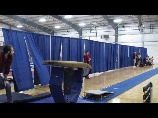 Adam Hein - Level 9 - Vault - 2018 Region 4 Gymnastics Championships