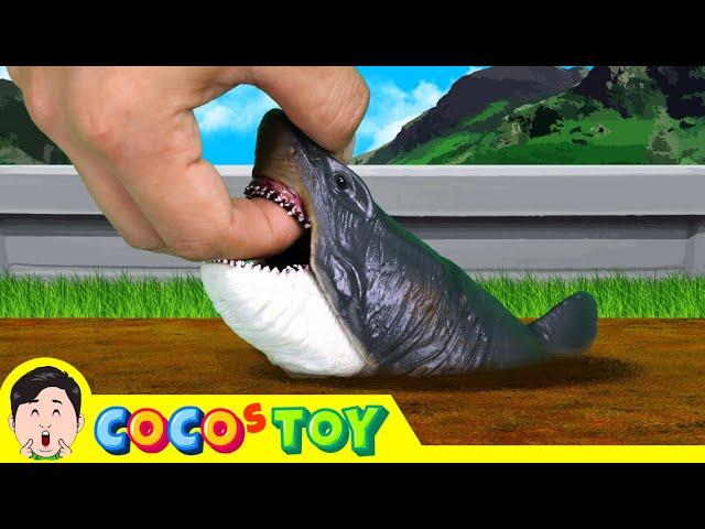 A megalodon lives in my front yard!｜sharks for kids｜CoCosToy