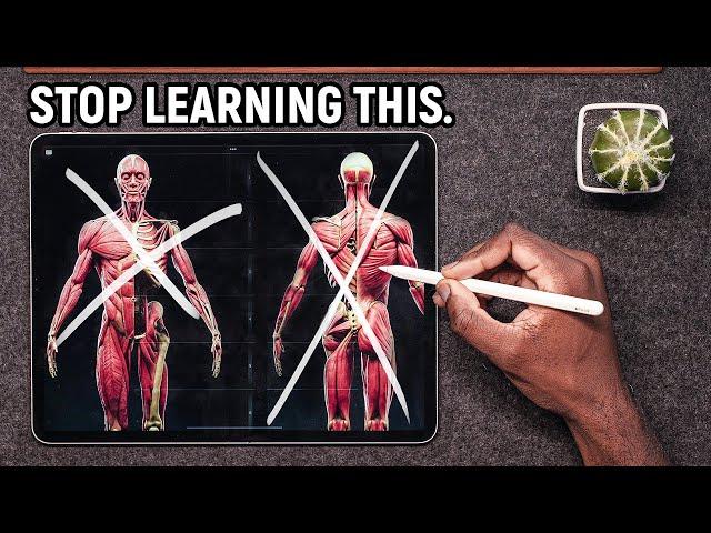 Learning Anatomy for Art? Study this FIRST.