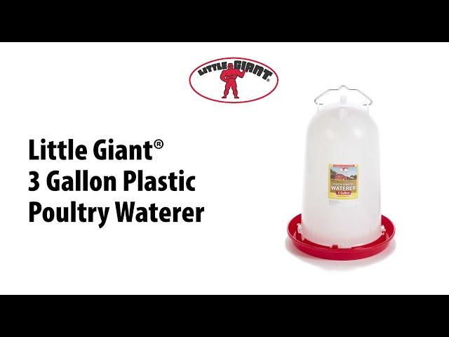 The Little Giant® 3 Gallon Poultry Waterer