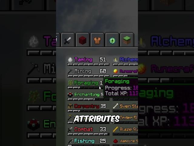Endgame Player Reviews Your Profiles! [150] #minecraft  #hypixel   #skyblock    #yadi