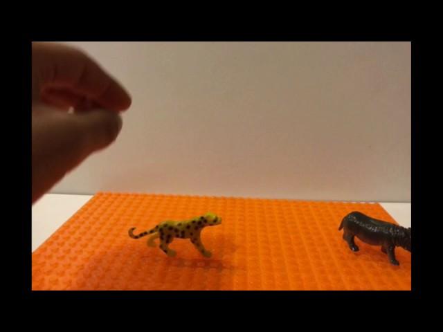 Animal Battle Stopmotion with Awesome Music 2017 Anand's first film!