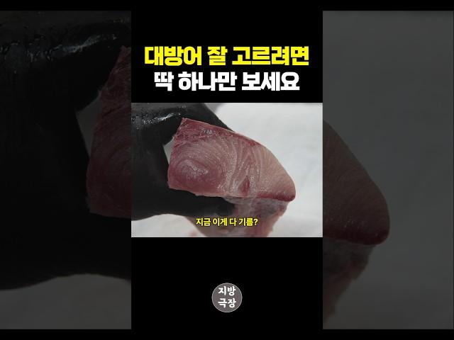 대방어 잘 고르려면 딱 하나만 보세요